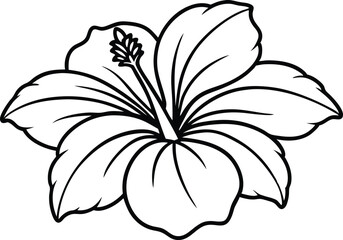 hibiscus flower line art vector , beautiful hibiscus flower line drawing