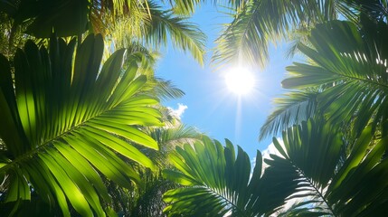 Naklejka premium Bright tropical sun shining through palm trees on clear day