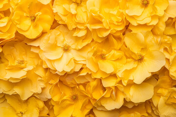 Yellow rose flowers background, nature concept. Wallpaper, textile, fabric, interior. Top view