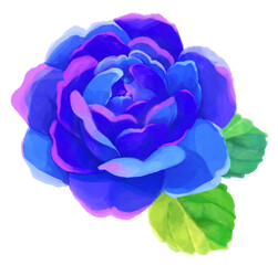 Obraz premium 手描き風青いバラ