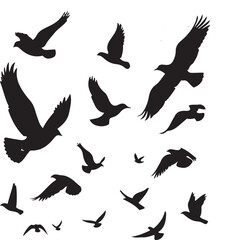 Flying Birds Silhouettes Vector Illustration - Isolated Bird Tattoo Design