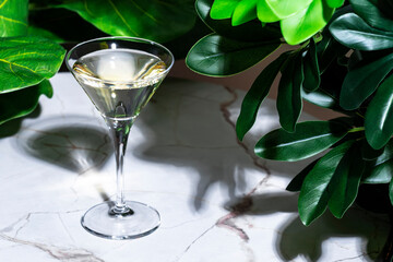 Dry Martini, alcoholic cocktail drink with gin, vermouth, bitters. Marble table in bar with green plants