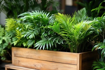 Lush Green Plants in Wooden Planter Box for Indoor Decoration