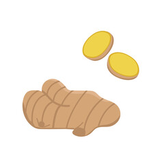 Vector set of ginger with sliced ​​pieces. Spice logo on white background.
