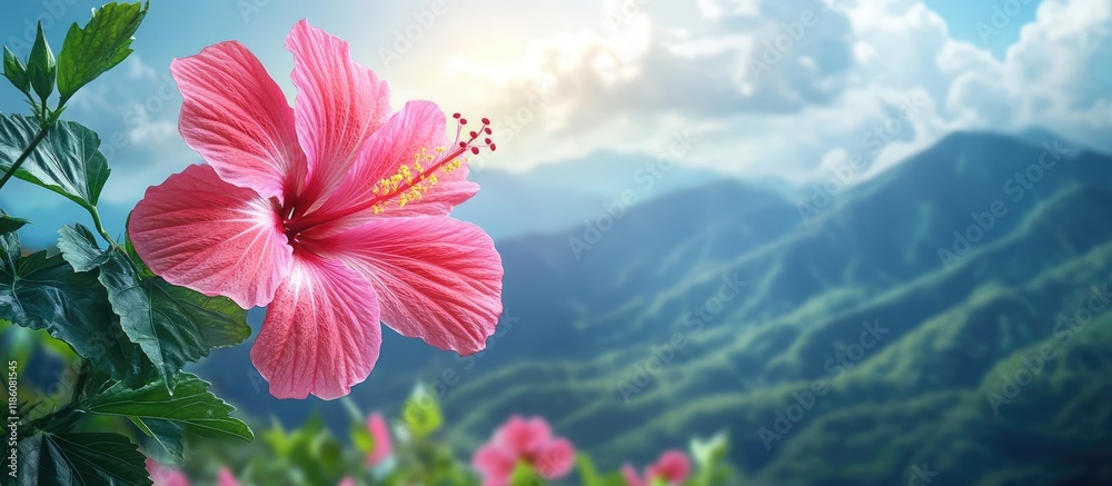 Canvas Prints pink hibiscus flower on the mountain soft focus. with copy space image. place for adding text or des