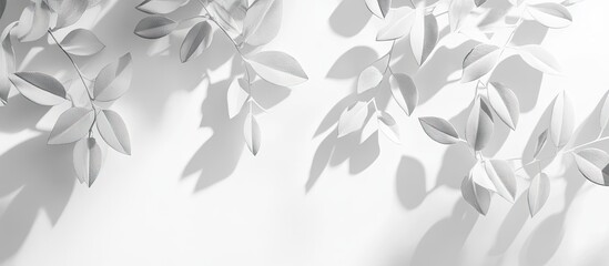 Abstract leaves cast a natural shadow overlay on a white textured background suitable for use in product presentations backdrops and mockups. with copy space image. Place for adding text or design