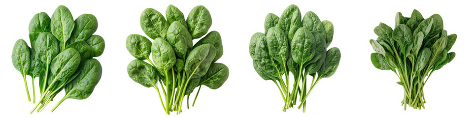 Fototapeta premium Assortment of Fresh Green Leafy Vegetables Including Spinach Kale and Swiss Chard on White Background Healthy Organic and Nutritious Ingredients for Salads Cooking and Diets