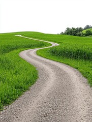 Obraz premium A photostock of a serene winding road surrounded by green fields, isolated on a clean white background, natural and peaceful, High Quality