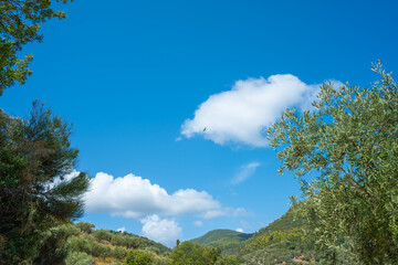 View of the sea, mountains, rocks, beaches, islands and the sky from different sides of the Skopelos island Greece.