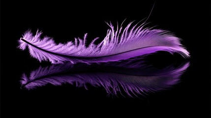 Obraz premium An elegant purple feather lying on a reflective black surface, creating a minimalist and artistic vibe.