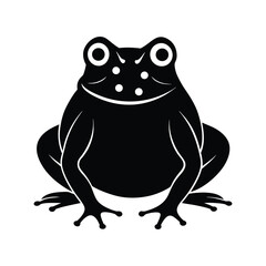 frog on white background