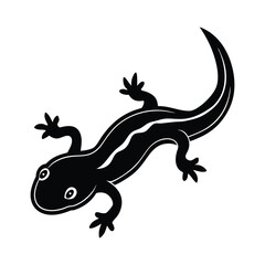 Naklejka premium lizard on a white background