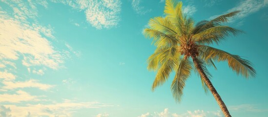 Obraz premium Coconut palm tree against a blue sky Vintage backdrop Retro style poster. with copy space image. Place for adding text or design