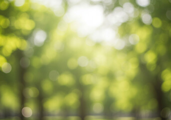 Obraz premium A blurred and dreamy landscape of a sun-dappled forest, evoking a sense of peace and tranquility, creating a magical and ethereal atmosphere