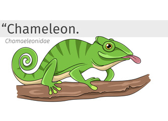 Chameleon cartoon perched on a branch illustration