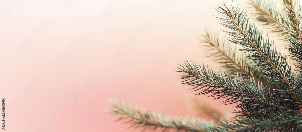 Poster Christmas with a pine branch on a holiday backdrop. with copy space image. Place for adding text or design