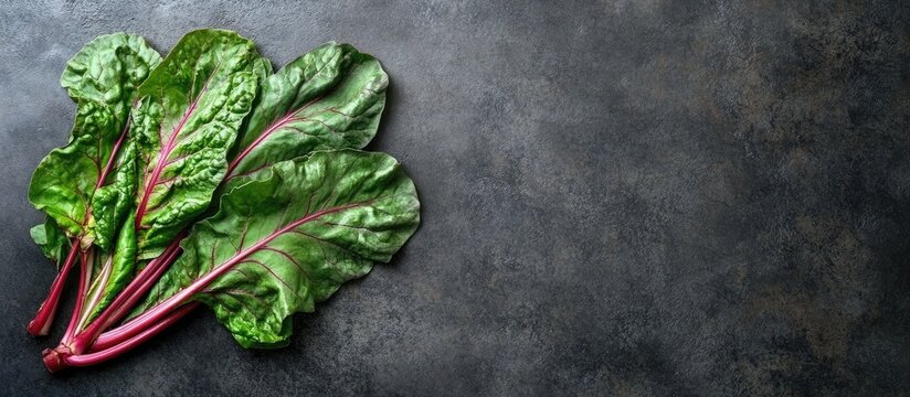 Balkan cuisine Blitva chard leaves a favored leafy vegetable Copyspace for text