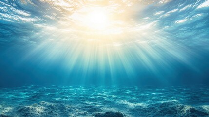 Obraz premium Sunlight penetrates ocean water, illuminating the underwater landscape and casting beautiful rays and patterns on the sandy floor