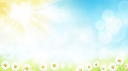 Obraz premium Soft Focus Shot of Daisies in a Warm Meadow Under a Bright Sunny Sky with Gentle Bokeh Effects