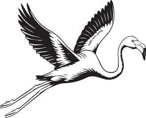 flying flamingo bird isolated transparent 