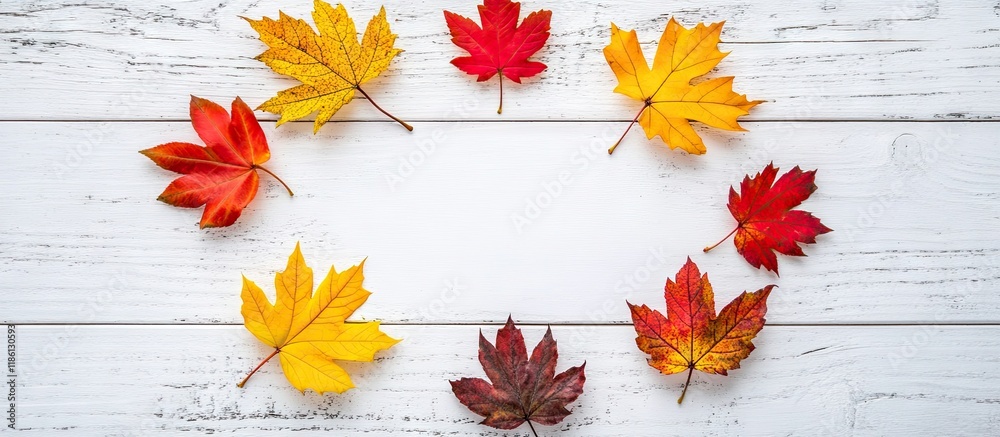 Leinwandbilder circle of vibrant autumn leaves arranged in a gradient text frame design layout set against a white 