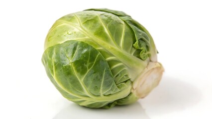 Obraz premium Fresh brussels sprout isolated on a white background