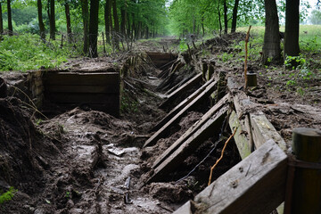 Obraz premium Trench remnants in a forested area reflect past conflicts