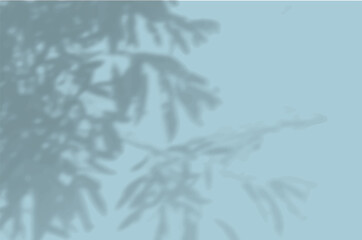 The shadow of the carved leaves on the blue wall. . Black and white image for photo overlay or mockup