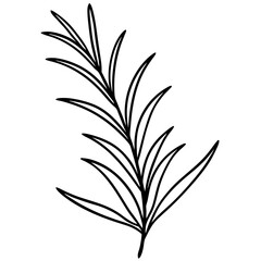 silhouette of a plant