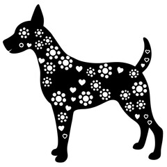 black and white dog