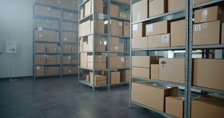 Sorting Facility, Storage of Online Store with E-Commerce Orders, Goods in Cardboard Boxes and...
