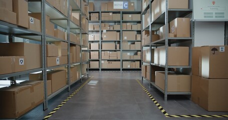 Sorting Facility, Storage of Online Store with E-Commerce Orders, Goods in Cardboard Boxes and Packages on Shelves. Warehouse Retail Center for Delivery Service. Logistics and Distribution. Dolly Shot