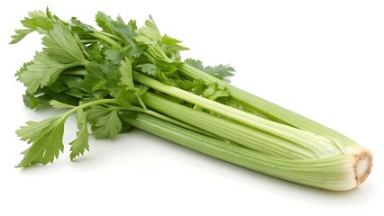 Stalk of celery isolated on a white background