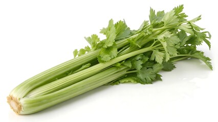 Stalk of celery isolated on a white background
