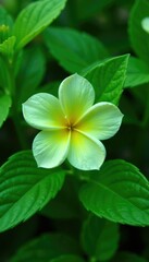 Fototapeta premium Delicate green plastic flower nestled among leafy greens, botanical, botanical