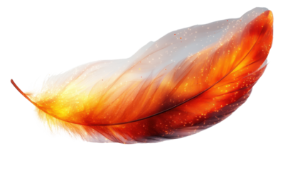 orange and yellow feathers isolated on white background