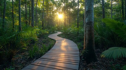 Fototapeta premium A sunrise hike through a smart eco-trail with digital guides highlighting natural wonders