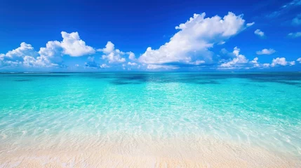 Tableau sur plexiglas Plage et Mer Relaxing Beach Waves Tropical Paradise Nature Scene Clear Waters Aerial View Serenity  © Natawut