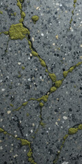 Fototapeta premium Close-up of a textured surface with green moss-like growth on dark stone.
