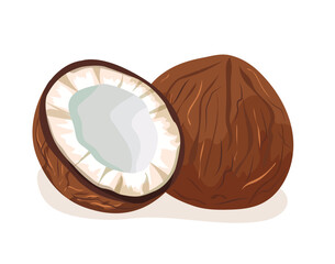 Whole and half coconut Tropical fruit for a healthy lifestyle. Organic, healthy fruit. Juicy white pulp, coconut milk Vector illustration on white background.