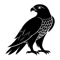 Hawk Silhouette vector illustration