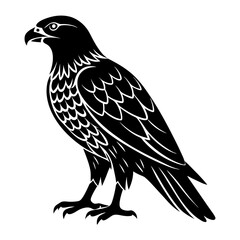 Hawk Silhouette vector illustration