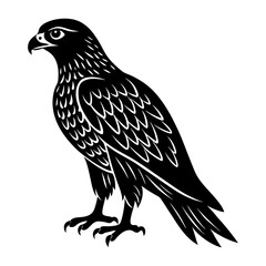 Hawk Silhouette vector illustration