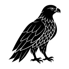Hawk Silhouette vector illustration