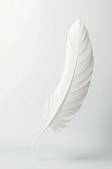 Obraz premium White feathers softly falling on a pure white background, , feathers, quiet