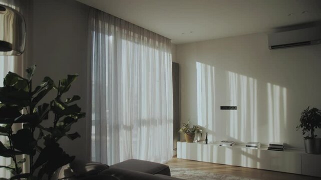 A Bright and Airy Living Room Featuring an Indoor Plant and Beautiful Sheer Curtains
