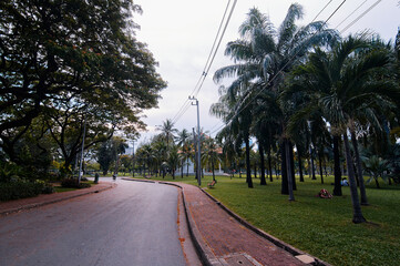 A lush green park with a large, sprawling tree and a curved pathway. The tree's branches extend...
