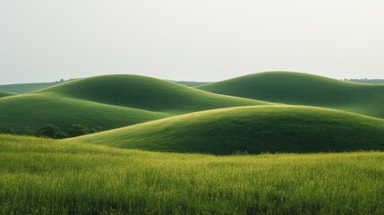 Fototapeta premium Rolling green hills under a clear sky at sunrise in a rural landscape