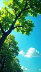 Fototapeta premium Gentle breeze rustles the leaves on a tree under light blue sky, blue, trees, heavens