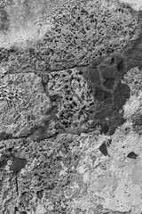 Stone Texture Rough Vertical Black White Abstract Surface